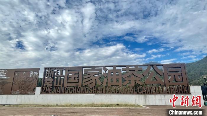 浙江常山国家油茶公园。　董易鑫 摄
